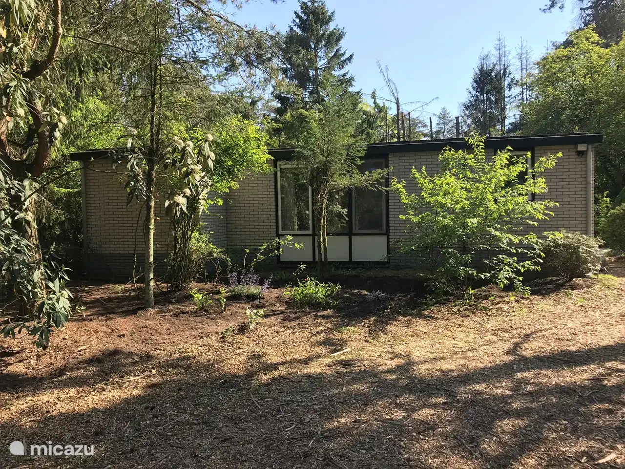 Garten vor dem Bungalow.