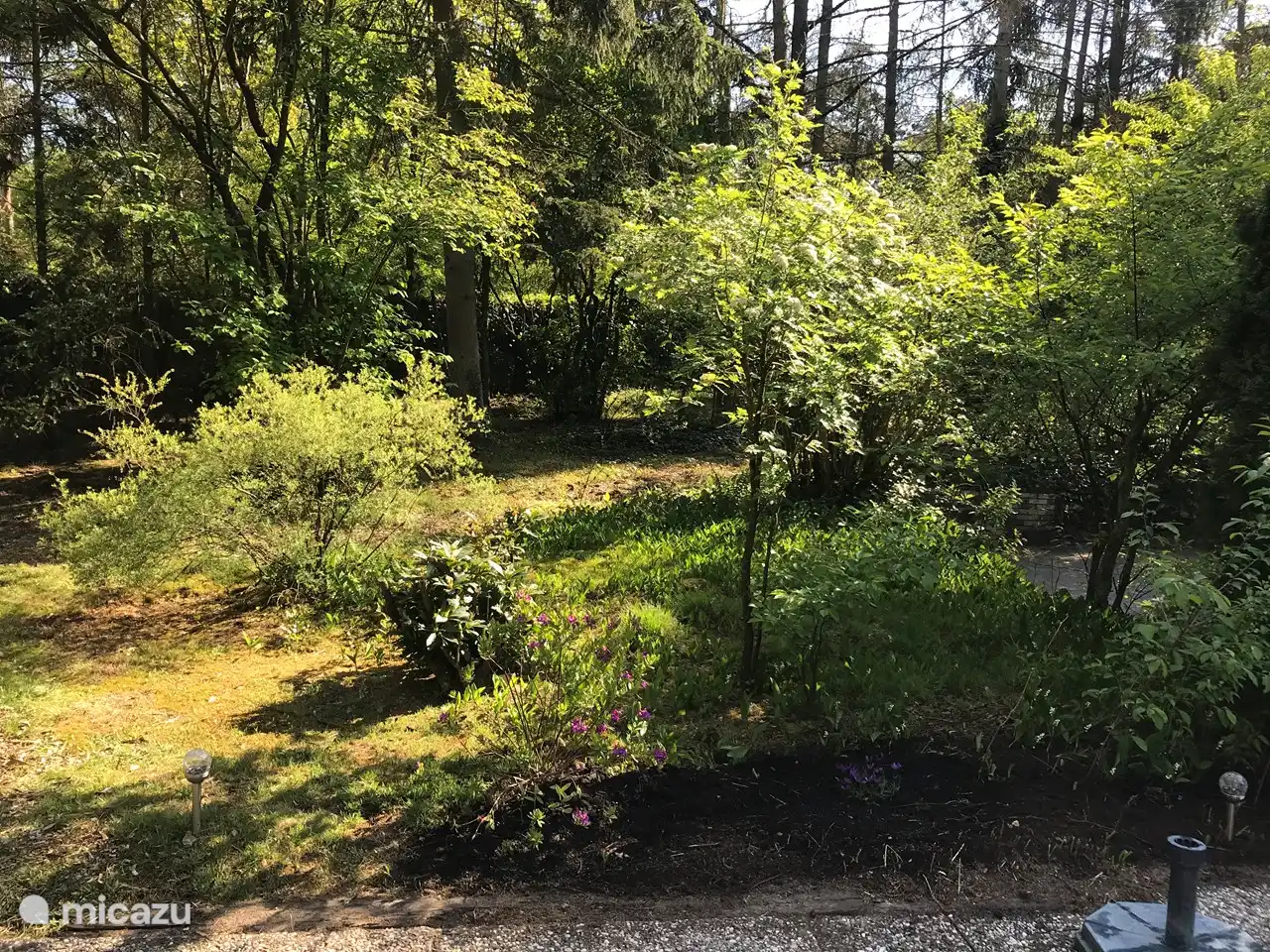 Viel Platz im Waldgarten, viele Sonnen- und Schattenplätze im großen Garten.
