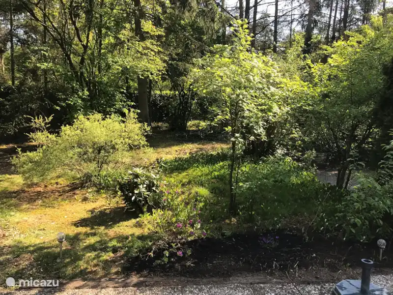 Bungalow B134 Nunspeet | Pays-Bas, Gueldre, Nunspeet - Bungalow Bungalow B134 Nunspeet | Pays-Bas, Gueldre, Nunspeet - Bungalow