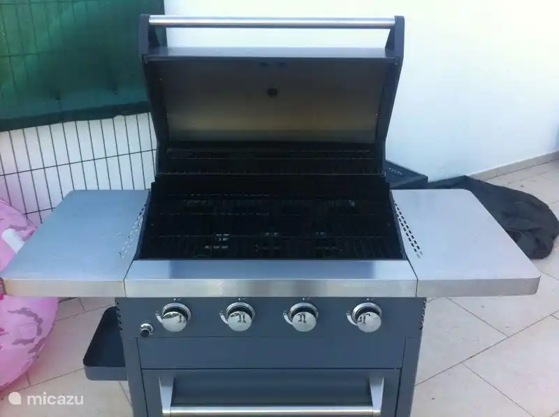 Gasgrill