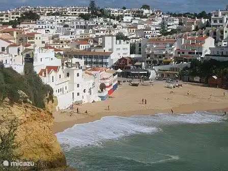 Carvoeiro