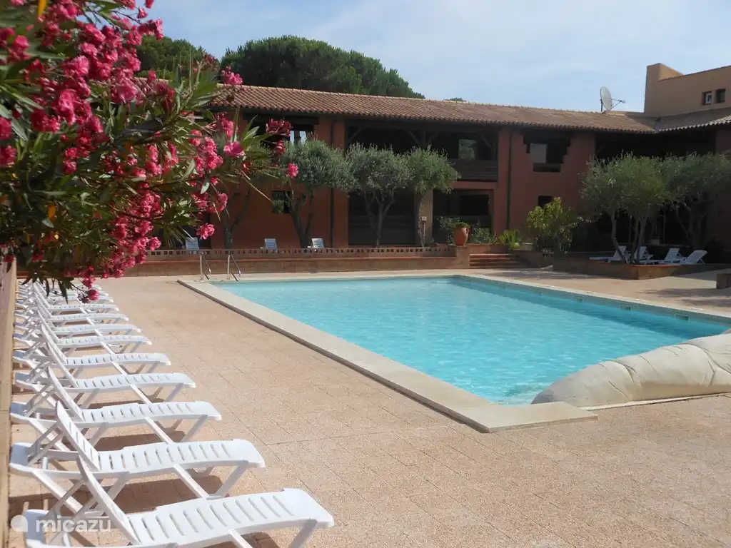 Der große Pool ist schön geschützt und bietet den ganzen Tag über genügend Sonnenliegen für Sonne oder Schatten