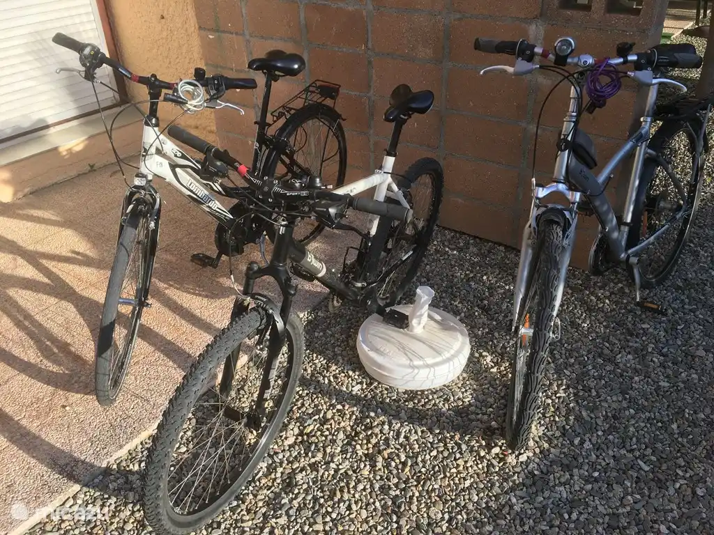 4 Fahrräder warten auf Sie. 2 MTBs und 2 (Damen) Tourenräder.