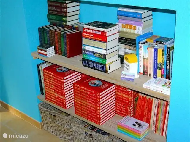 Provence pure | France, Vaucluse, Saumane-de-Vaucluse - villa La bibliothèque spacieuse avec de nombreux livres. Romans, polars (par exemple toute la série française Nicci), livres d'information sur la France, livres de cuisine, etc.
Pour les enfants : BD ! Beaucoup de Suske et Wiske mais aussi beaucoup d'autres histoires amusantes.