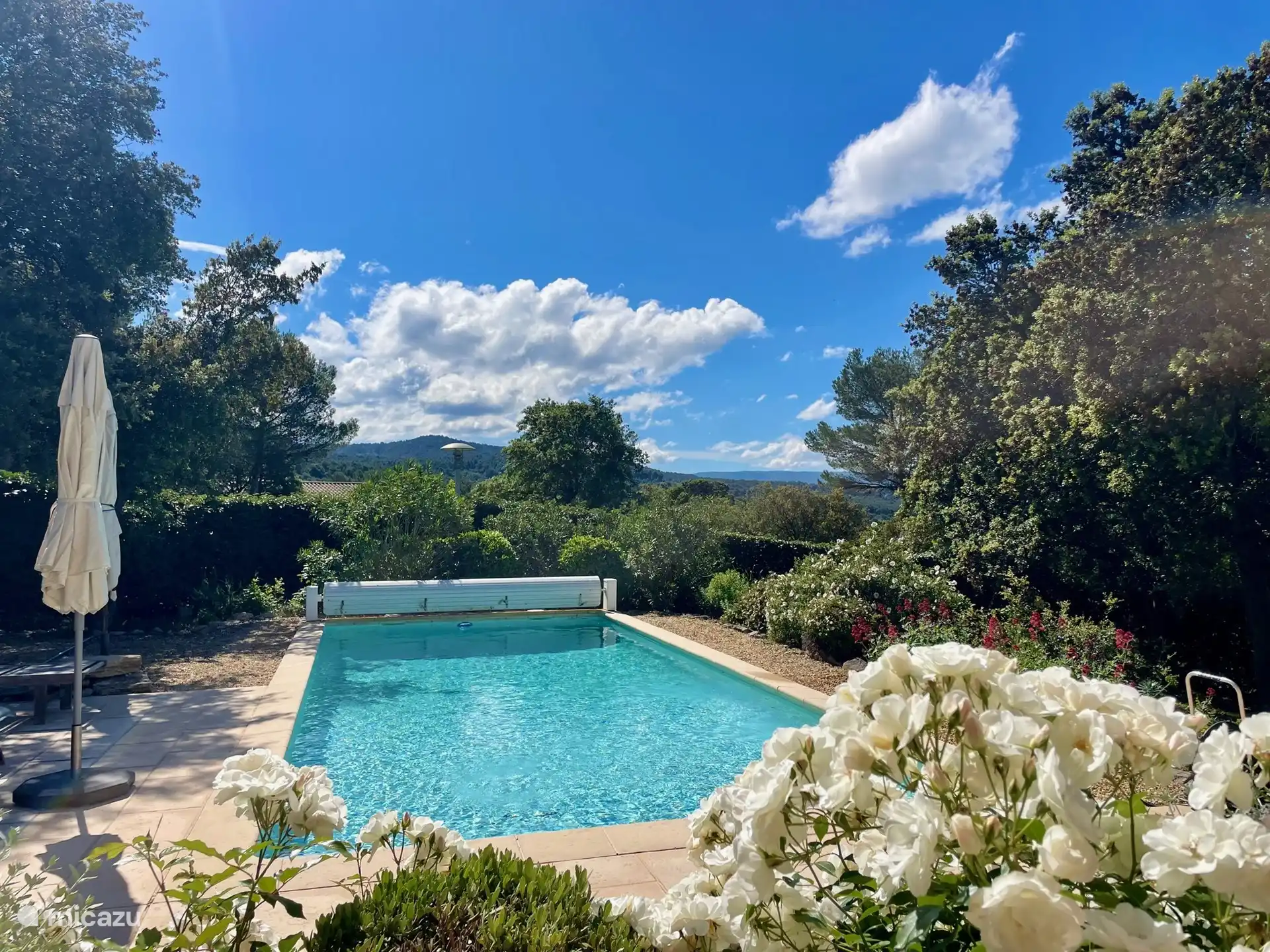 The lovely swimming pool with a view