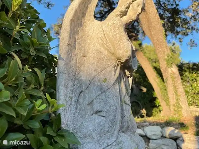 Provence pure | France, Vaucluse, Saumane-de-Vaucluse - villa Ambiance à l'extérieur
