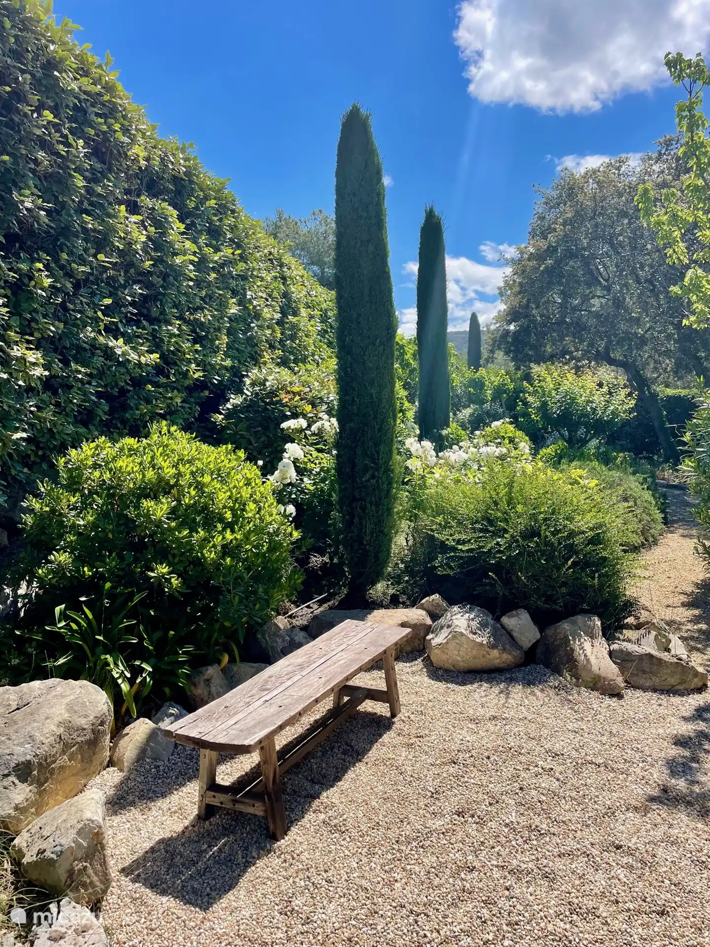 Beautiful garden around the villa