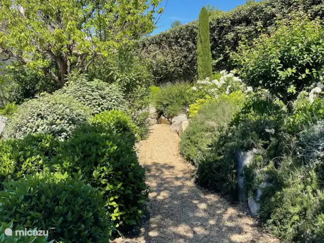 Provence pure | France, Vaucluse, Saumane-de-Vaucluse - villa Chemin dans le jardin à travers la verdure