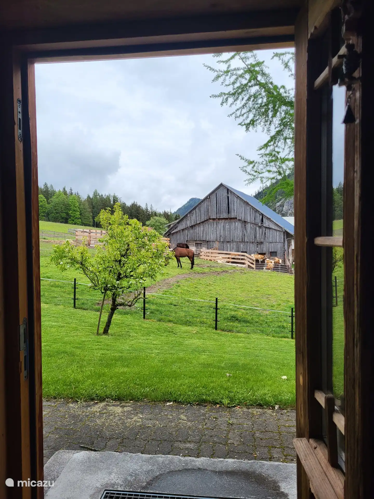 Uitzicht vanuit de hal.
