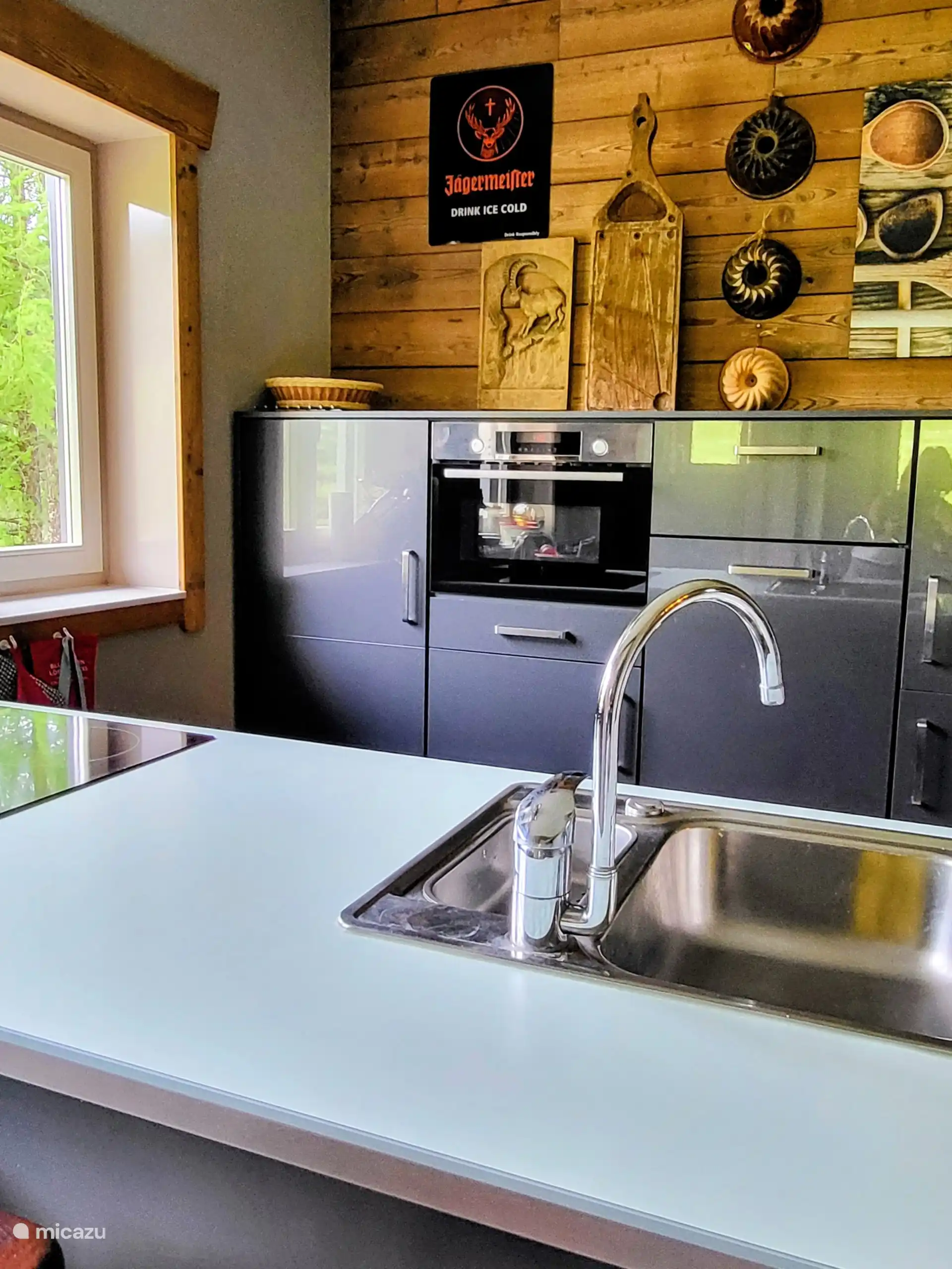 Keuken met inductieplaat, oven met magnetron functie en vaatwasser.