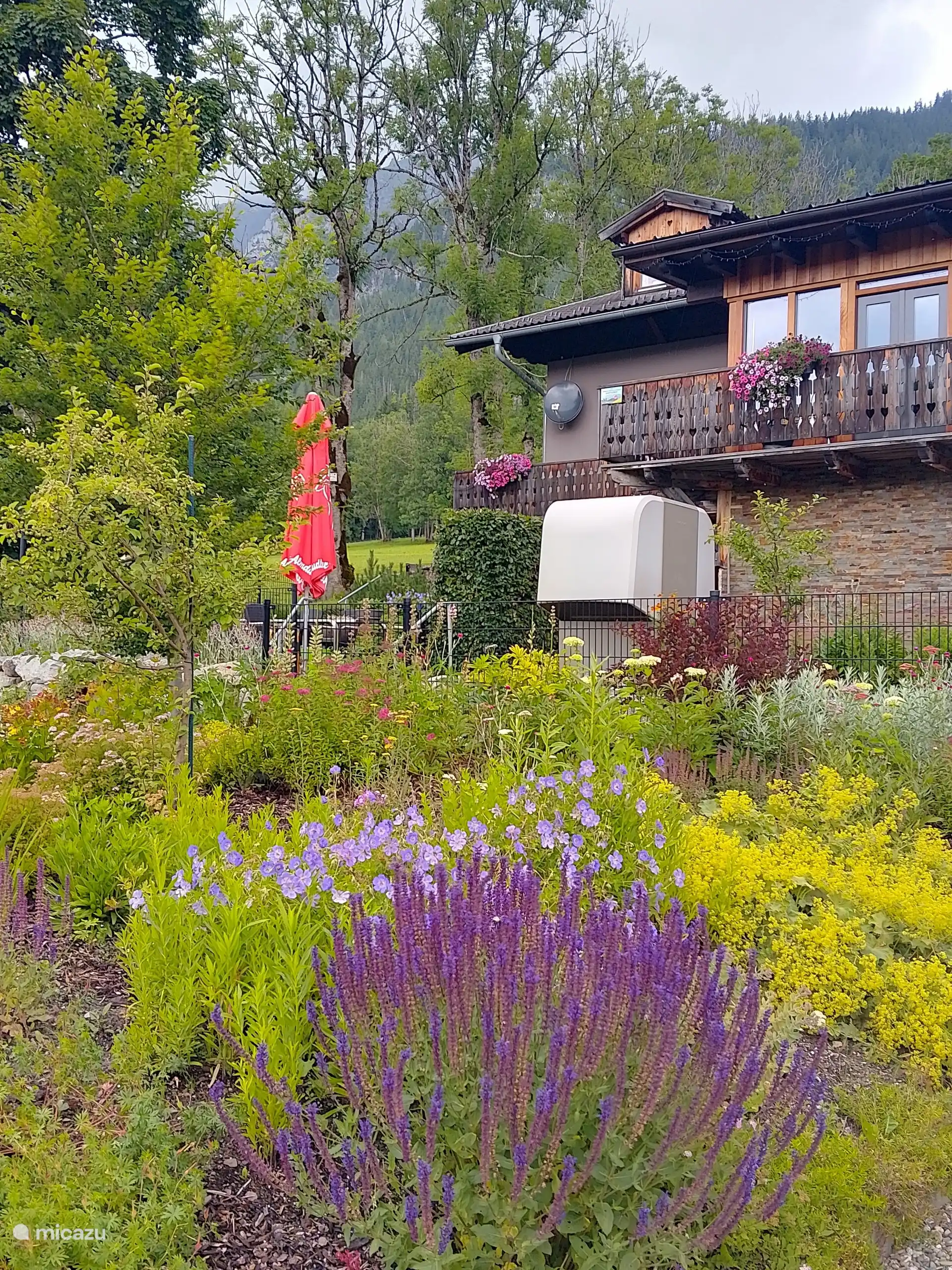 De tuin.