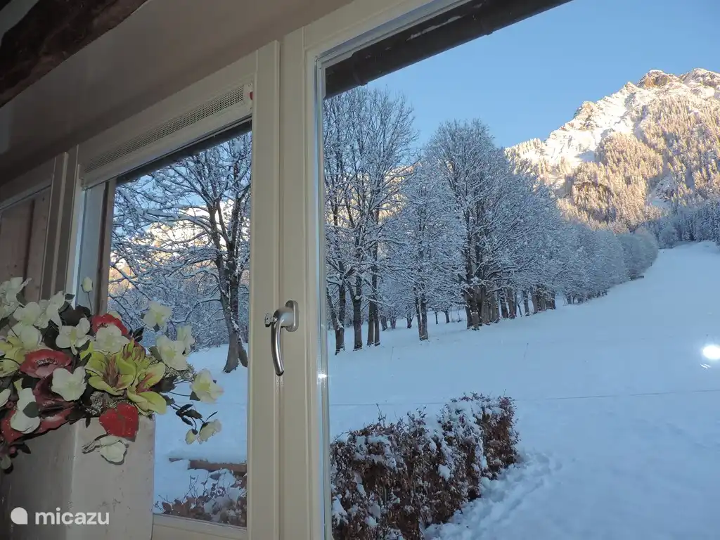 La vista desde la sala de estar en el lado norte de la casa. Aquí se ve la antigua pista de esquí.