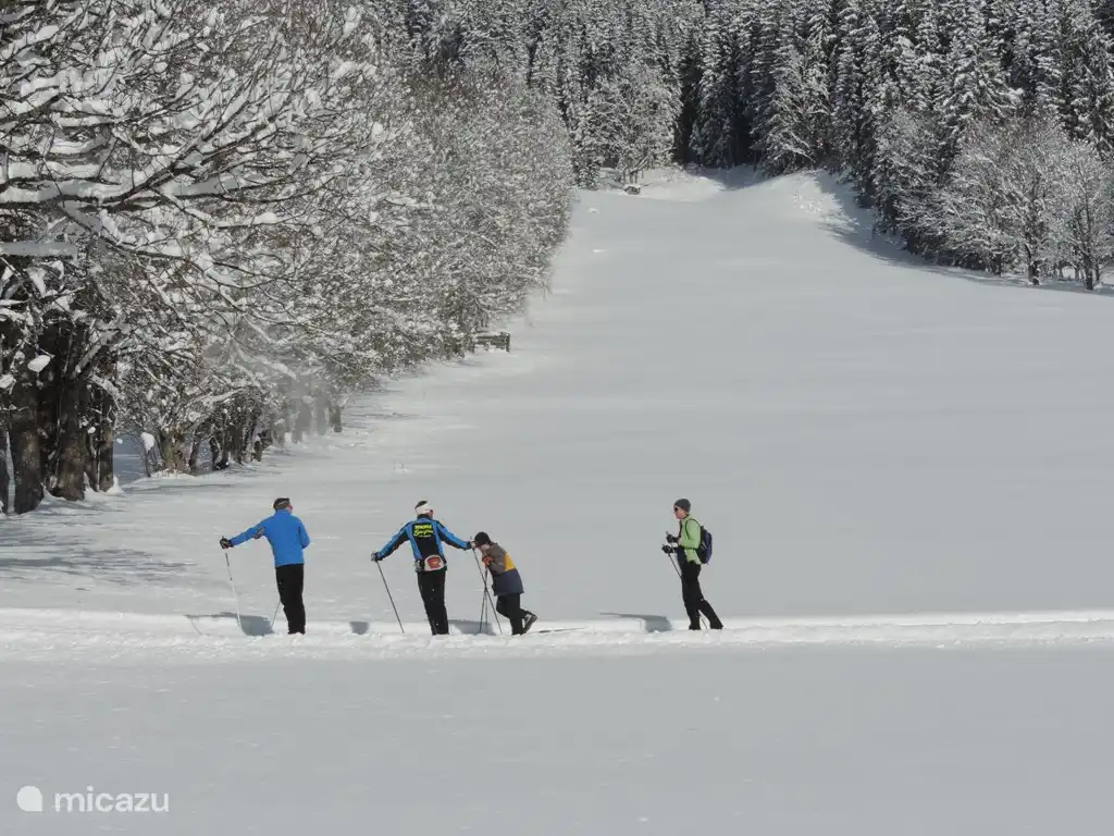 Puede ingresar a la pista de esquí de fondo 30 metros detrás de la casa.