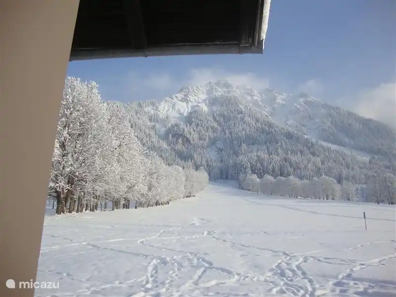 Esta es la vista trasera, una suave pendiente de trineo.