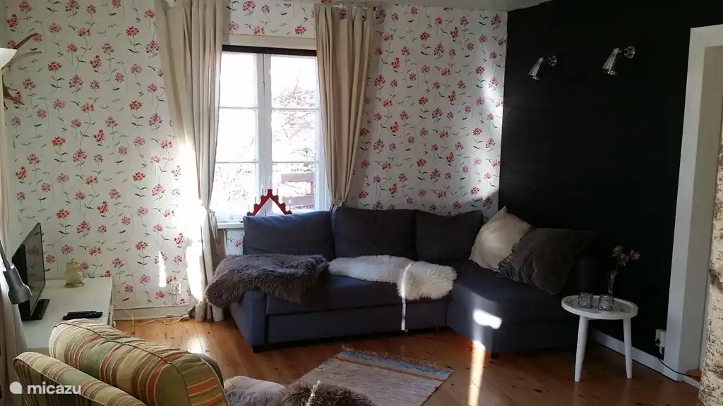 Cozy living room with fireplace and TV.