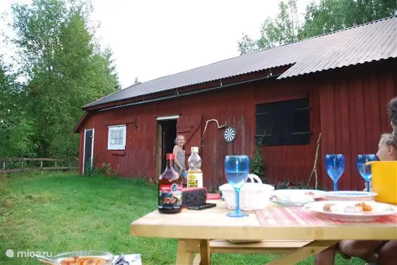 Food in the backyard at night at 10pm.