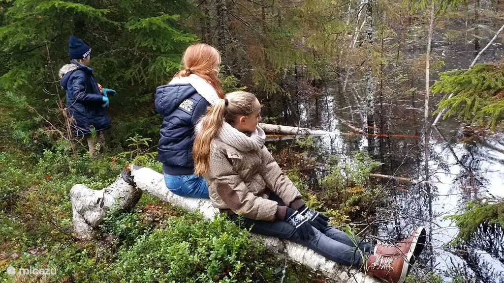 If you have patience, the beavers will come naturally