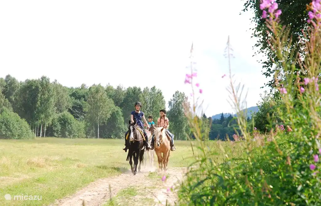 Horse riding nearby.