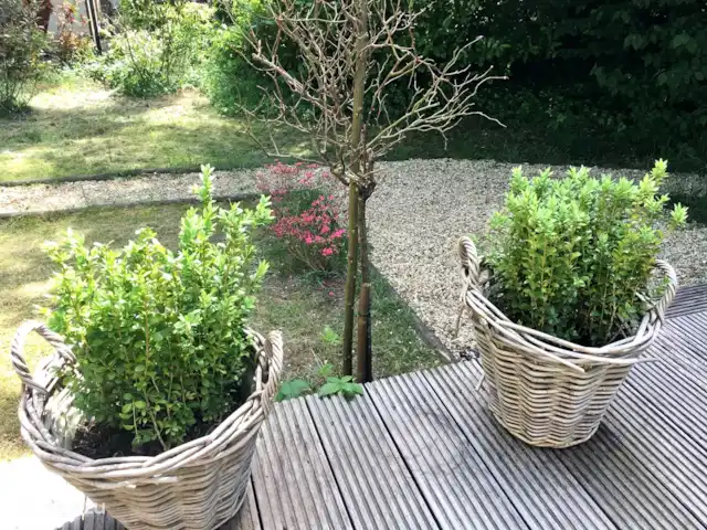 Sunny Chalet Beekbergen Veluwe huren in Nederland, Gelderland, Beekbergen - chalet Veranda met uitkijk in de grote tuin