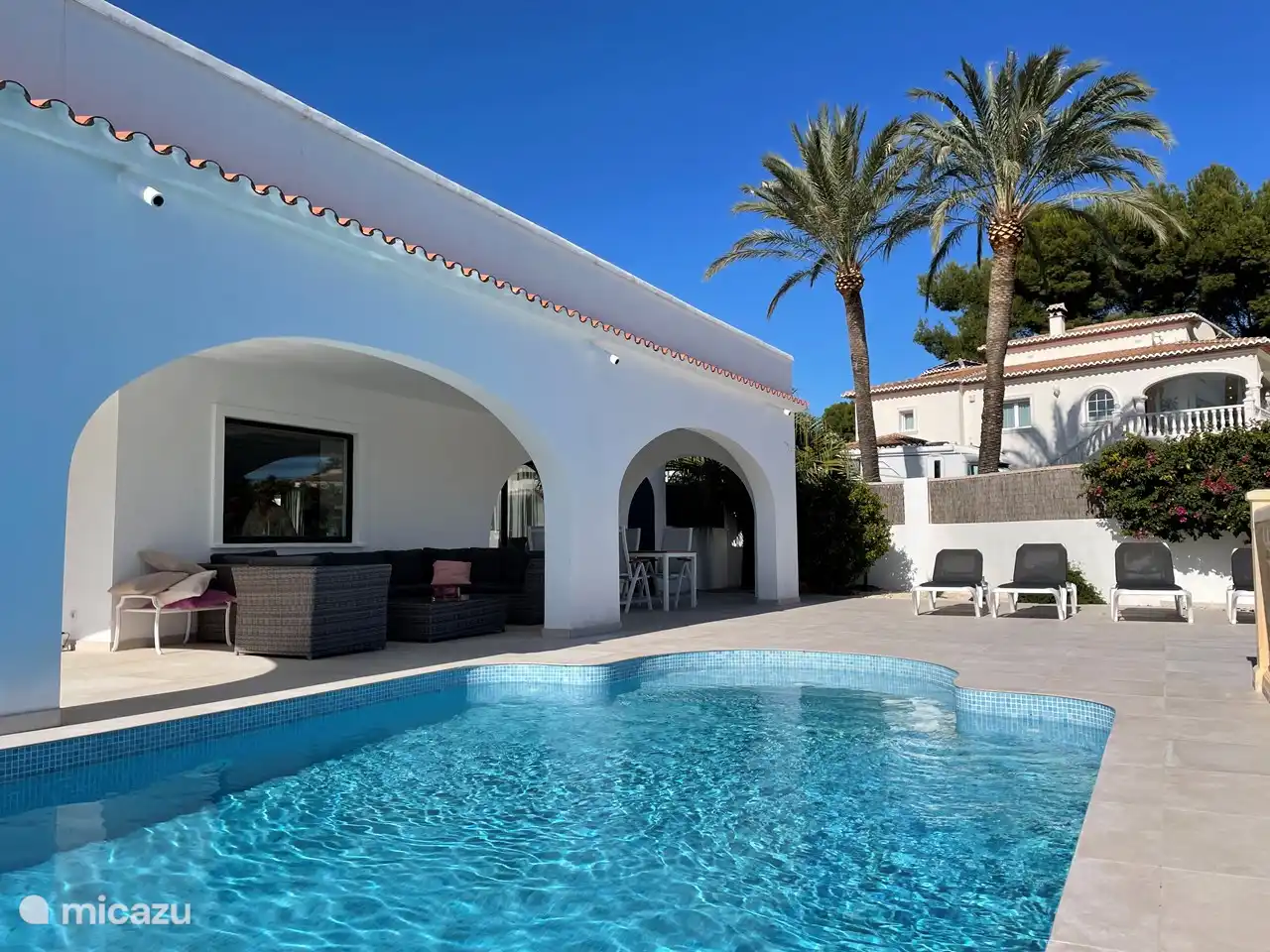 Blick auf zwei wunderschöne Palmen.