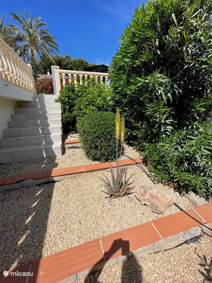 Garten unter kurzer Treppe.