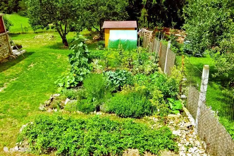 Our vegetable garden, with cherry fresh vegetables and herbs, is at your disposal.