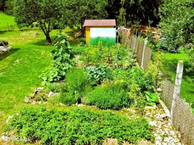 Studio Budkov | République Tchèque, Sud de la Bohême, Vlachovo Brezí - maison de vacances Notre potager, avec des légumes frais et des herbes aromatiques, est à votre disposition.