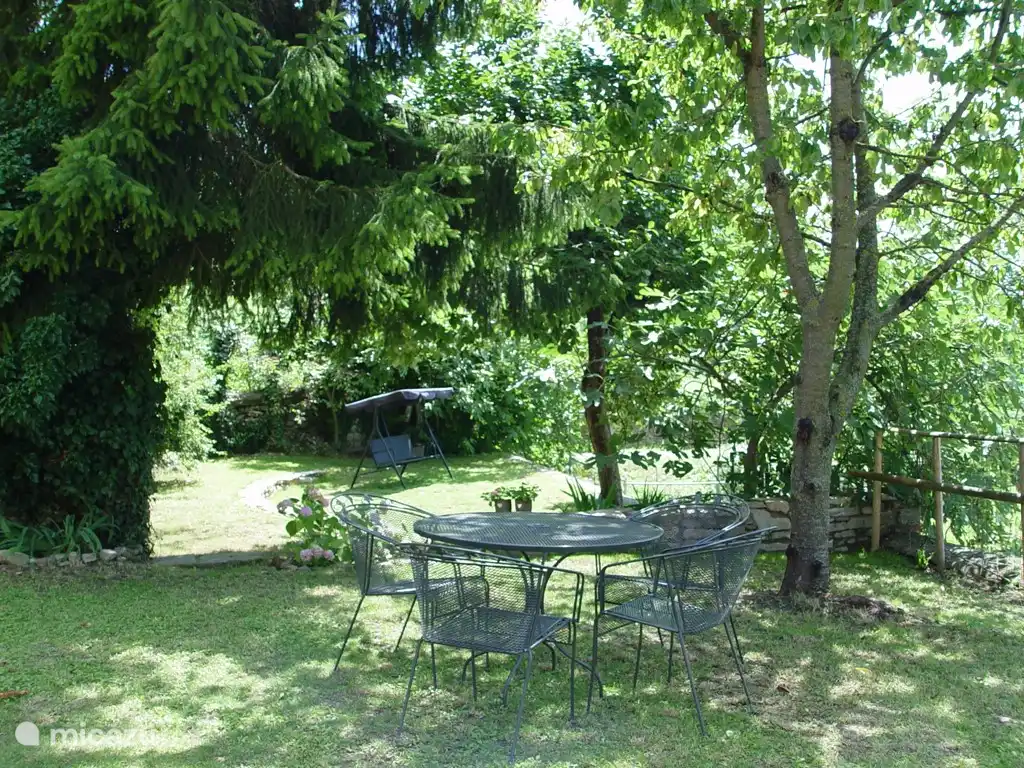 The garden behind the old vegetable garden with persimmon tree, plum tree fig trees and grapes.