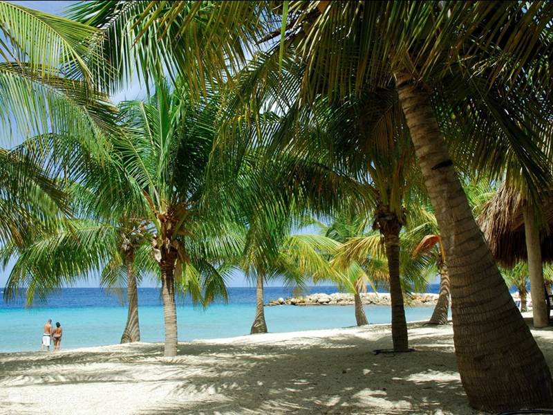 Ferienwohnung Curaçao, Curacao-Mitte, Blue Bay Villa BEST VIEW @ BlueBay Village Villa 11