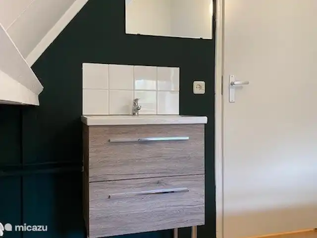 casa vacacional en Países Bajos, Güeldres, Winterswijk – Voortwisch Birdie Lavabo arriba