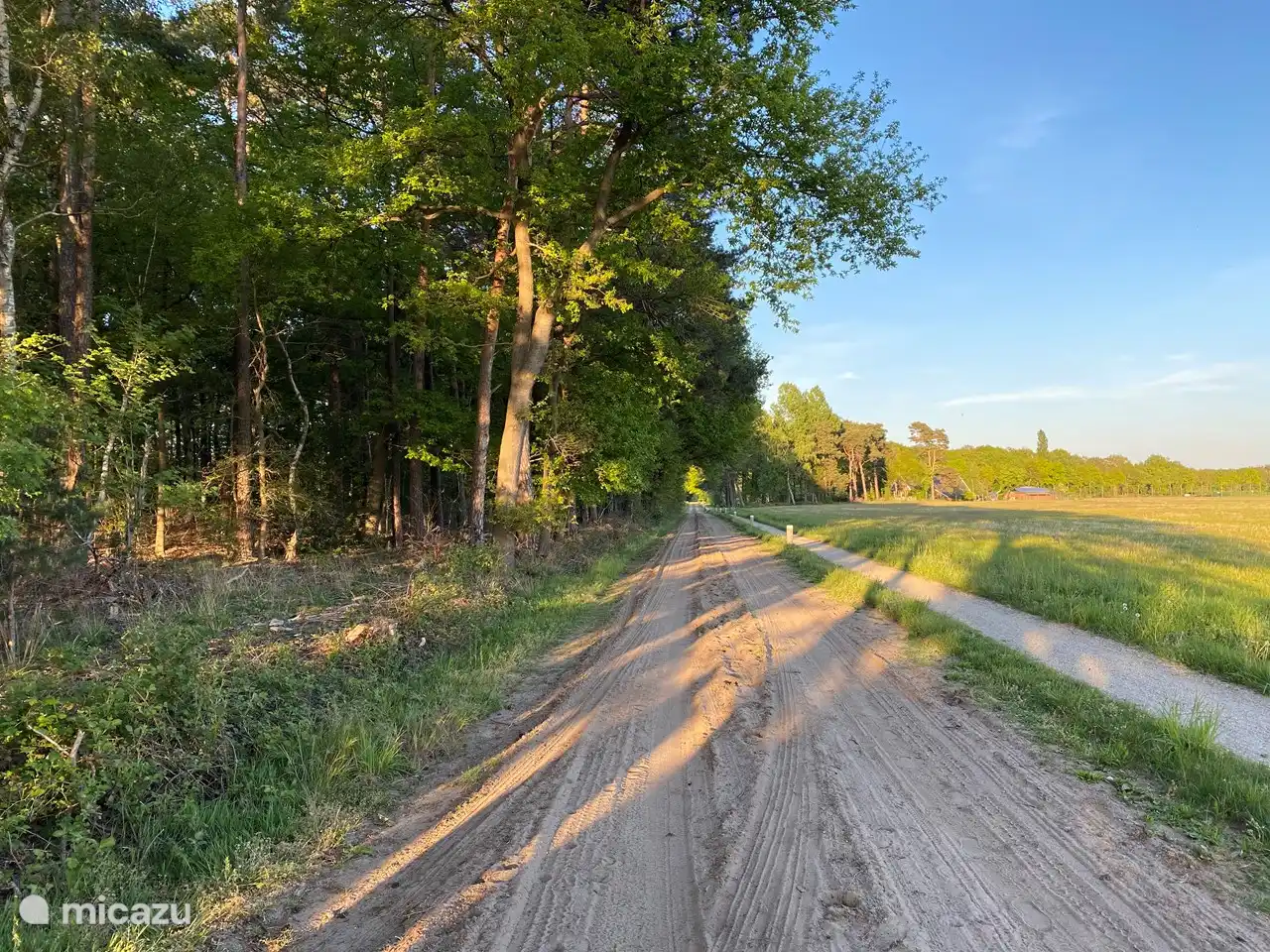 die wunderbar friedliche Natur
