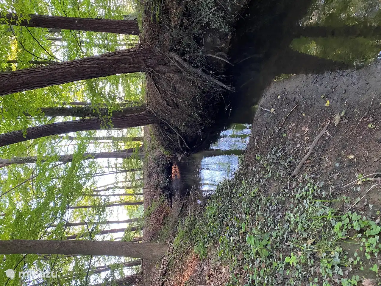 Mäandernde natürliche Bäche durchziehen die Landschaft