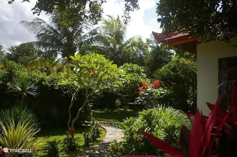 Garten von der Terrasse des Hauses gesehen