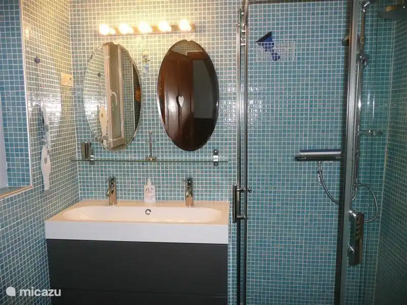 Badezimmer im Erdgeschoss, vor kurzem renoviert