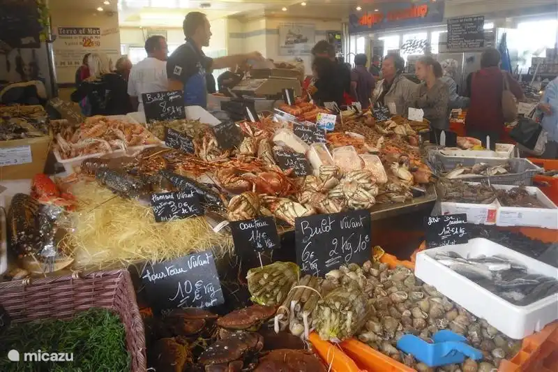 Fish Market Tréport