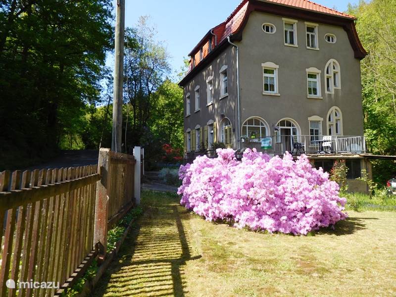 Holiday home in Germany, Saxony, Waldheim Holiday house Rosa's Garden