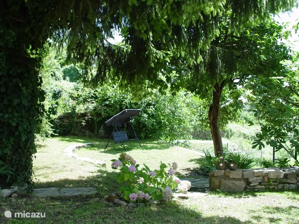 View at the old vegetable garden, where a persimmon tree, a plum tree, fig trees and vines are. Also here are the stairs to the pool.