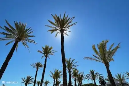 El Arenal