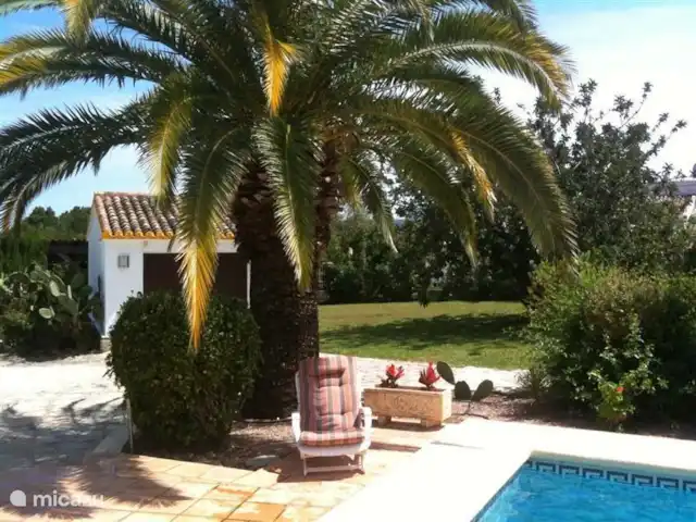 Villa Guillermo | Espagne, Costa Blanca, Jávea - villa Détendez-vous sous un palmier.