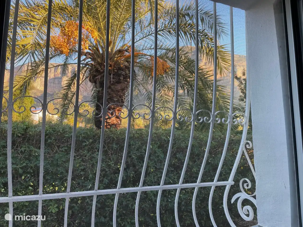 Aufwachen mit Blick auf Palmen, blauen Himmel und den Montgó: toll!