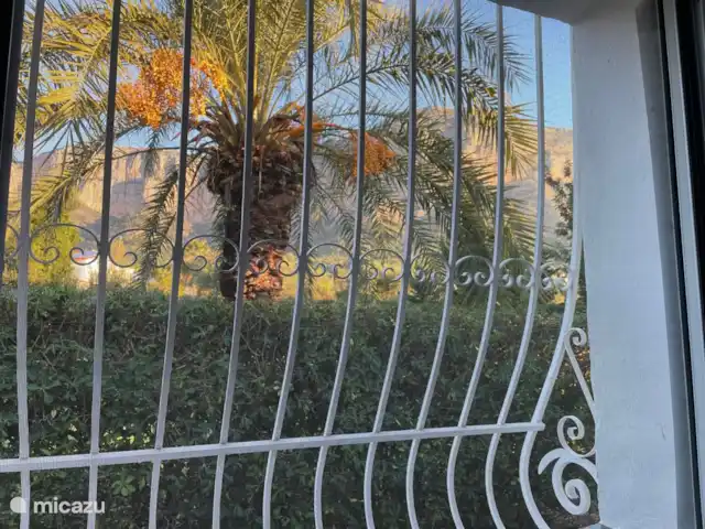 Villa Guillermo | Espagne, Costa Blanca, Jávea - villa se réveiller avec une vue sur les palmiers, le ciel bleu et le Montgó : super !