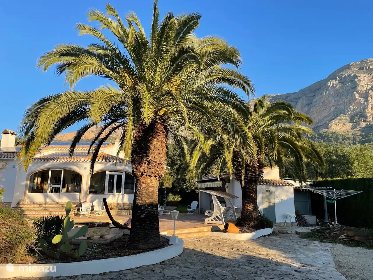 am rand der terrasse diese schönen zwei palmen zu beiden seiten der treppe: herzlich willkommen!
