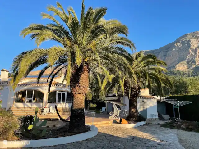 Villa Guillermo | Espagne, Costa Blanca, Jávea - villa en bordure de la terrasse ces deux beaux palmiers de part et d'autre des marches : un accueil chaleureux !