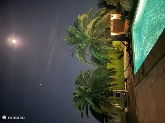 Das Schwimmbad ist beleuchtet: So können Sie auch abends schwimmen!