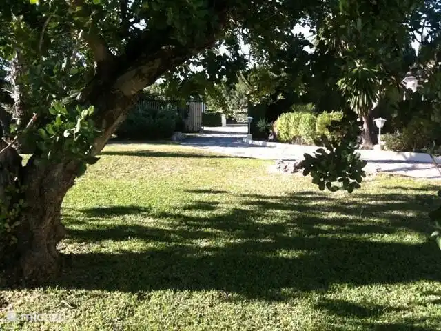 Villa Guillermo | Espagne, Costa Blanca, Jávea - villa L'allée mène à travers le jardin plat et verdoyant, aménagé avec plusieurs palmiers, arbustes et arbres fruitiers.