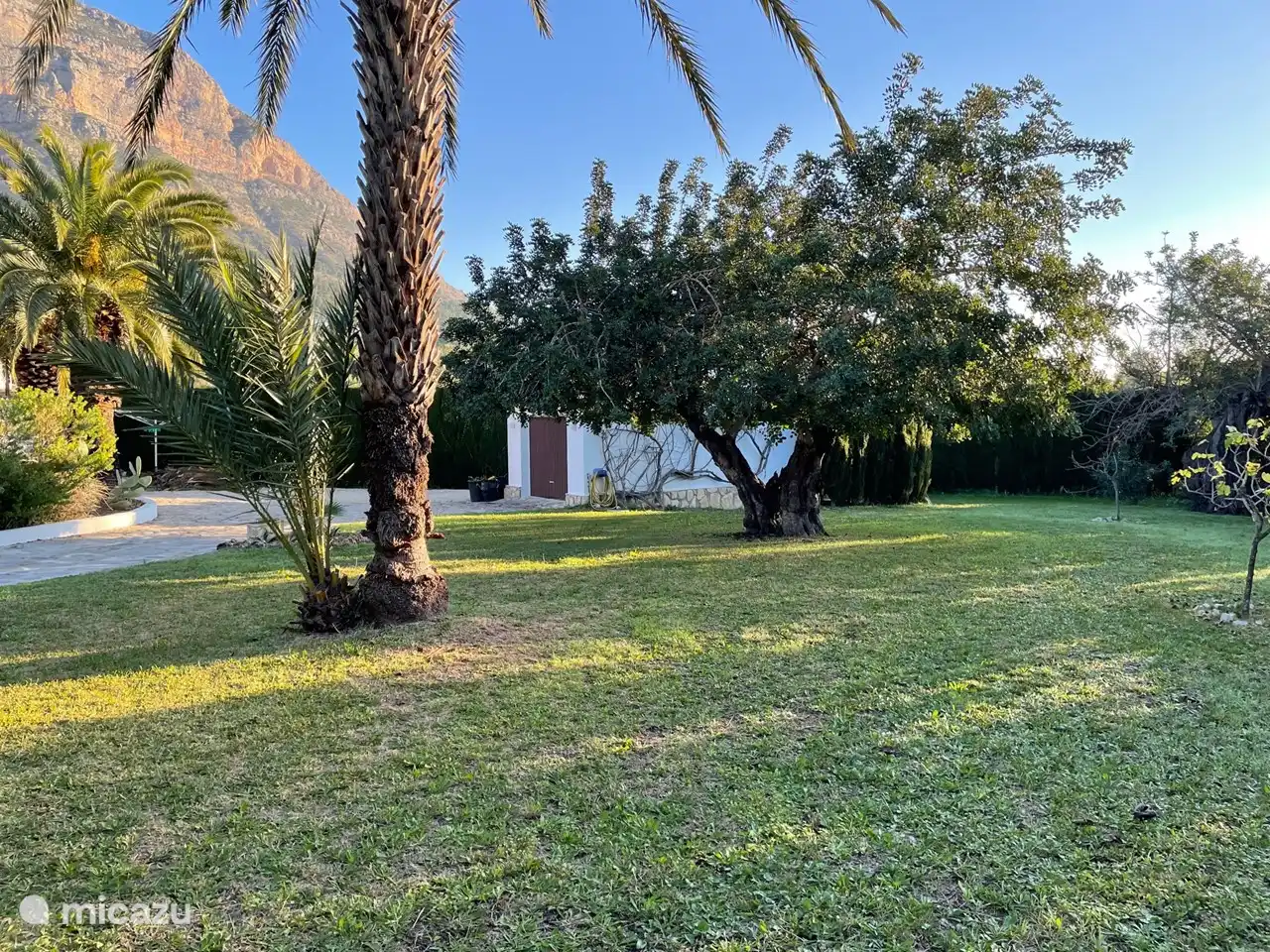 noch mehr Eindruck vom Garten