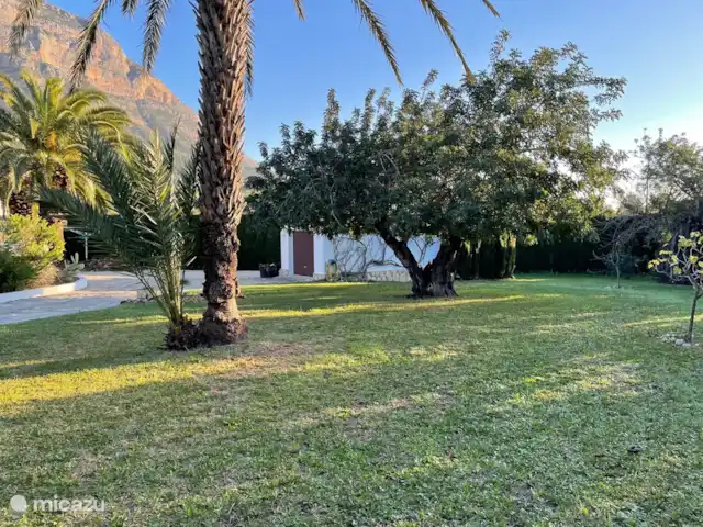 Villa Guillermo | Espagne, Costa Blanca, Jávea - villa encore plus d'impression de jardin