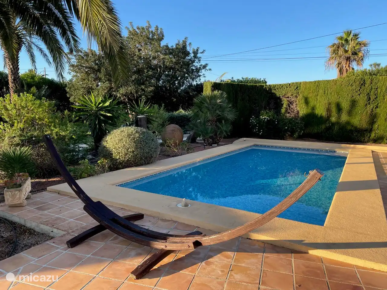 Träumen Sie in der Hängematte unter der Palme