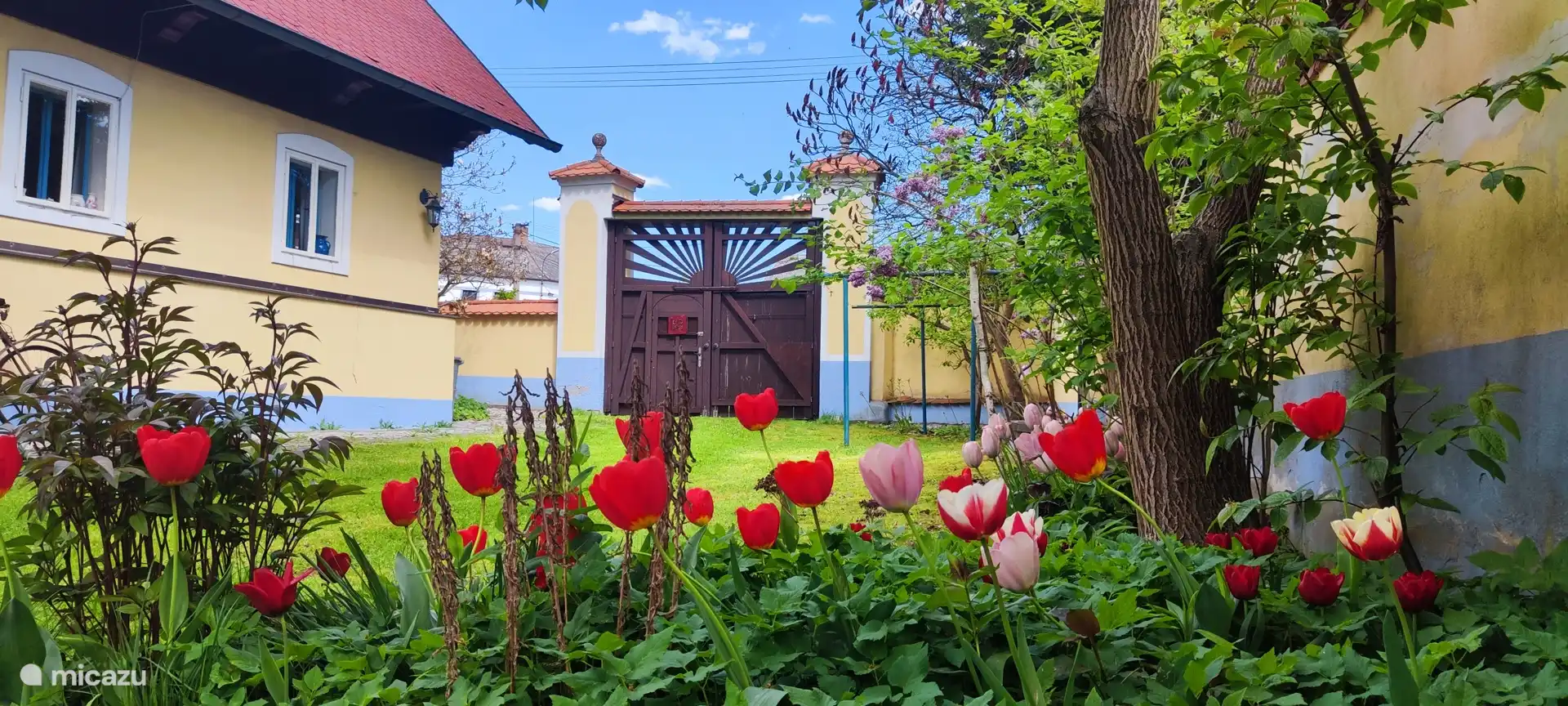 Jardín en el patio en primavera.