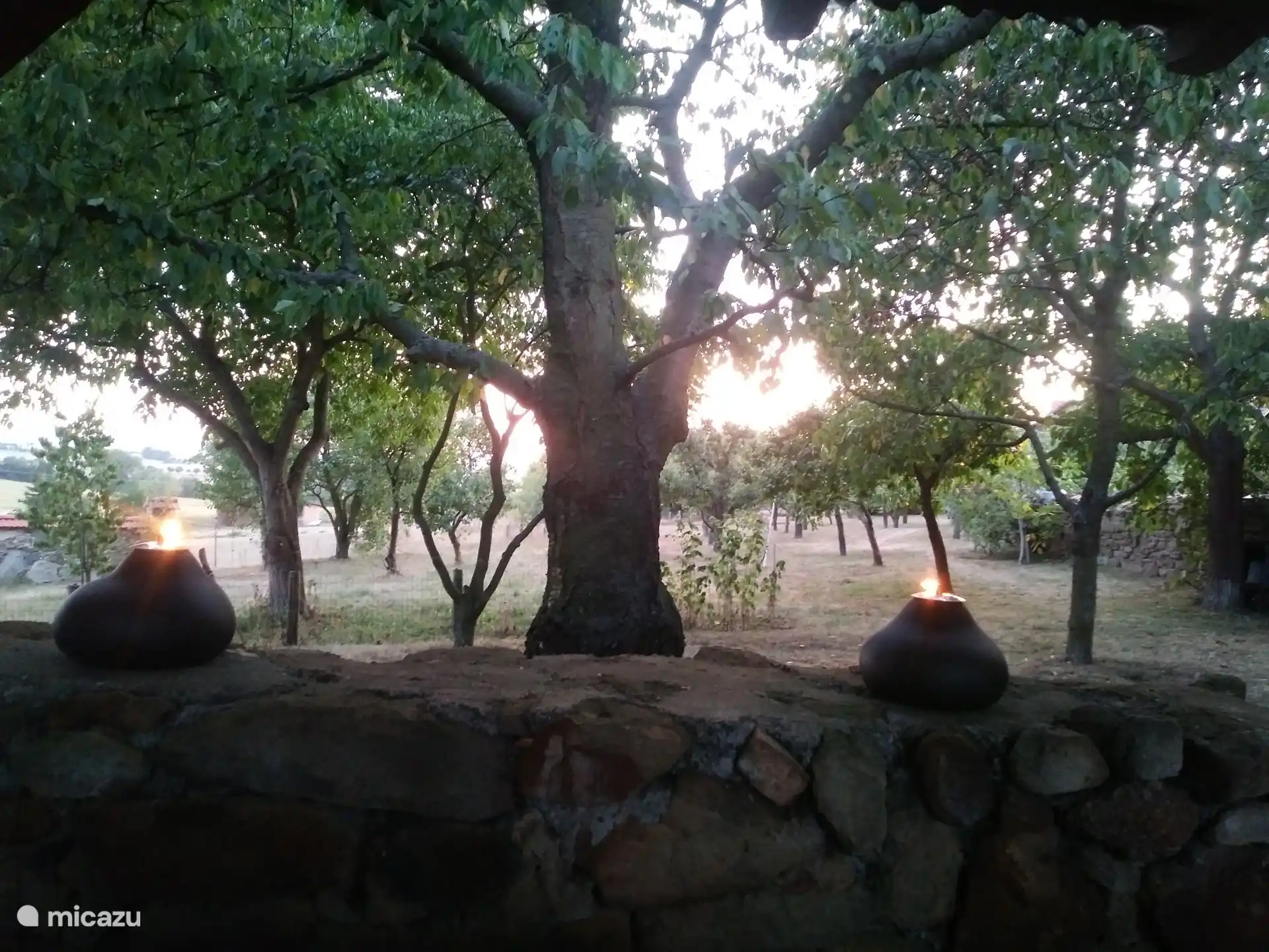 Vistas desde la segunda zona cubierta de asientos: la pérgola, con total privacidad y acceso al gran huerto vallado.